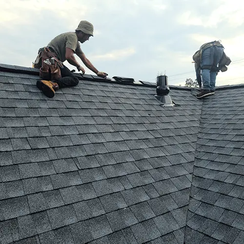 Roof Maintenance & Inspection